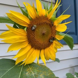 Meet your Posher, Mackenzie